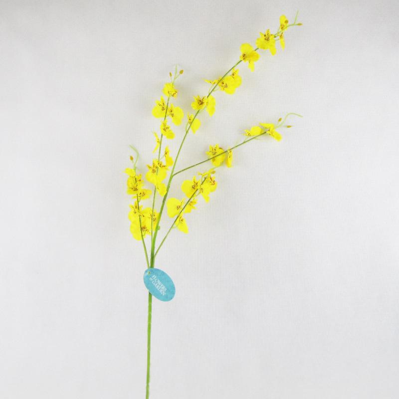 Storczyk gałązka kwiaty żółte